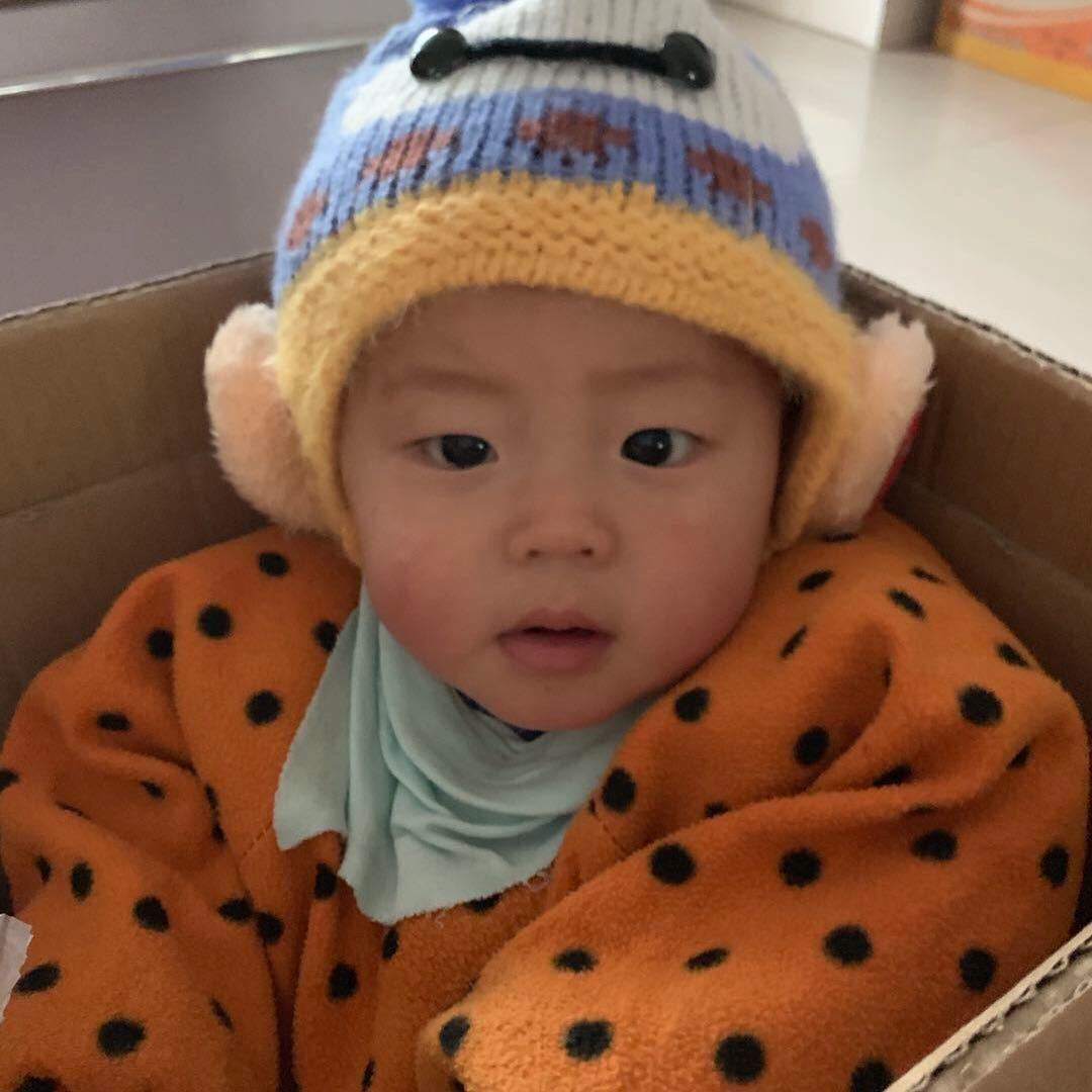 阿狸的移动城堡