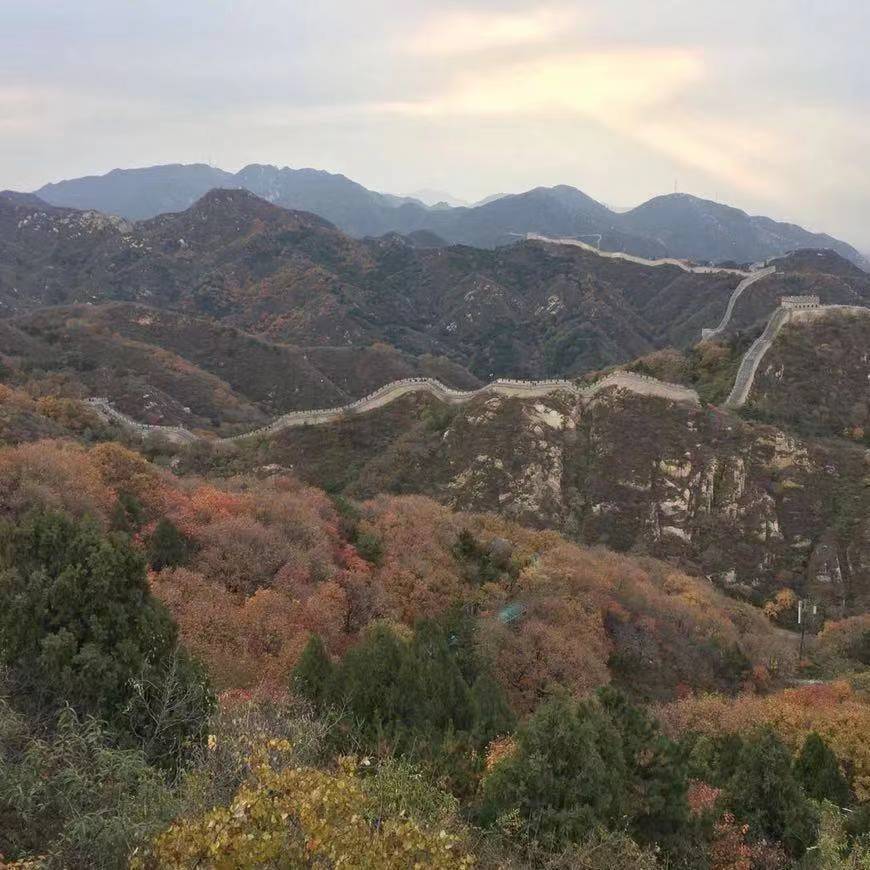 抓住小尾巴