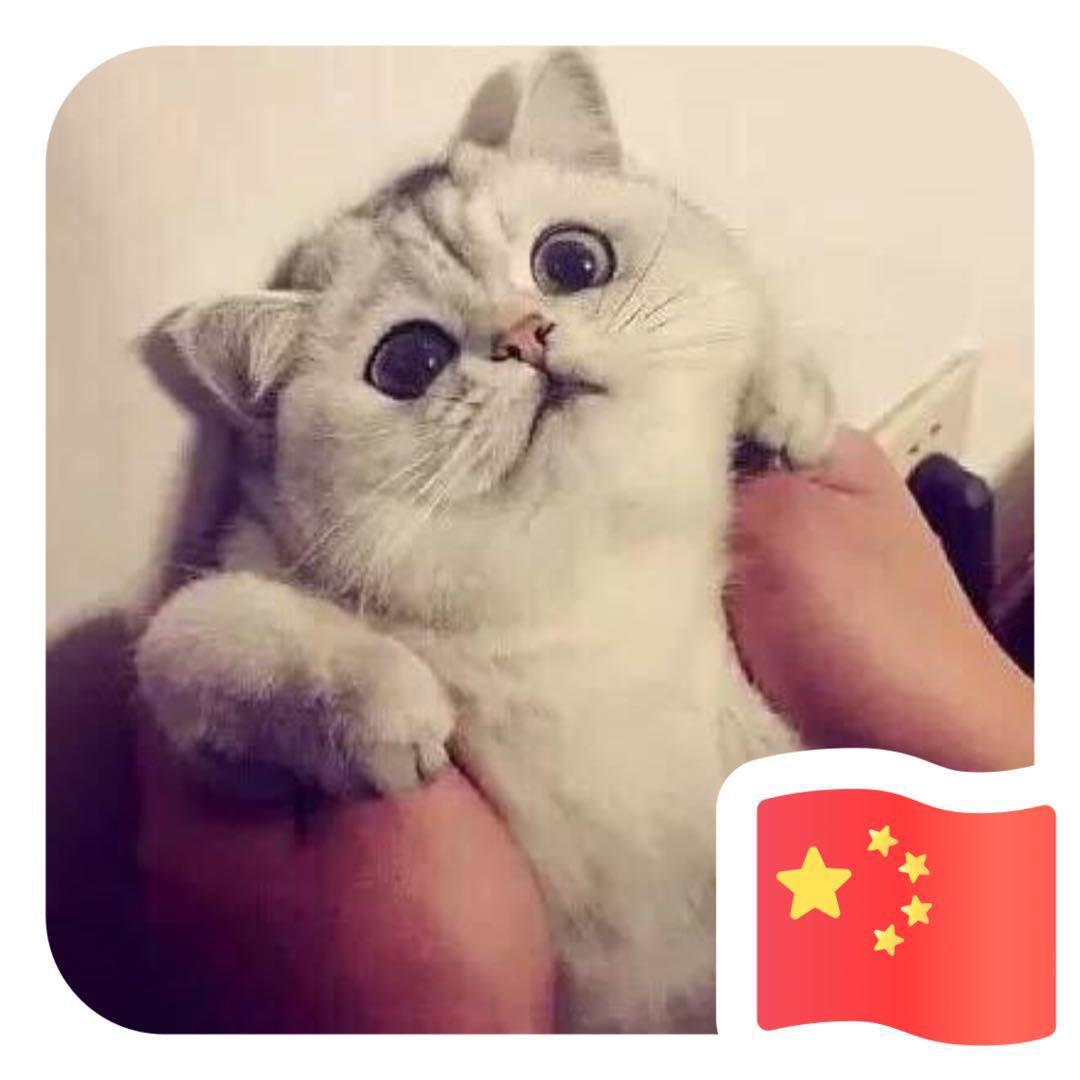 违规用户