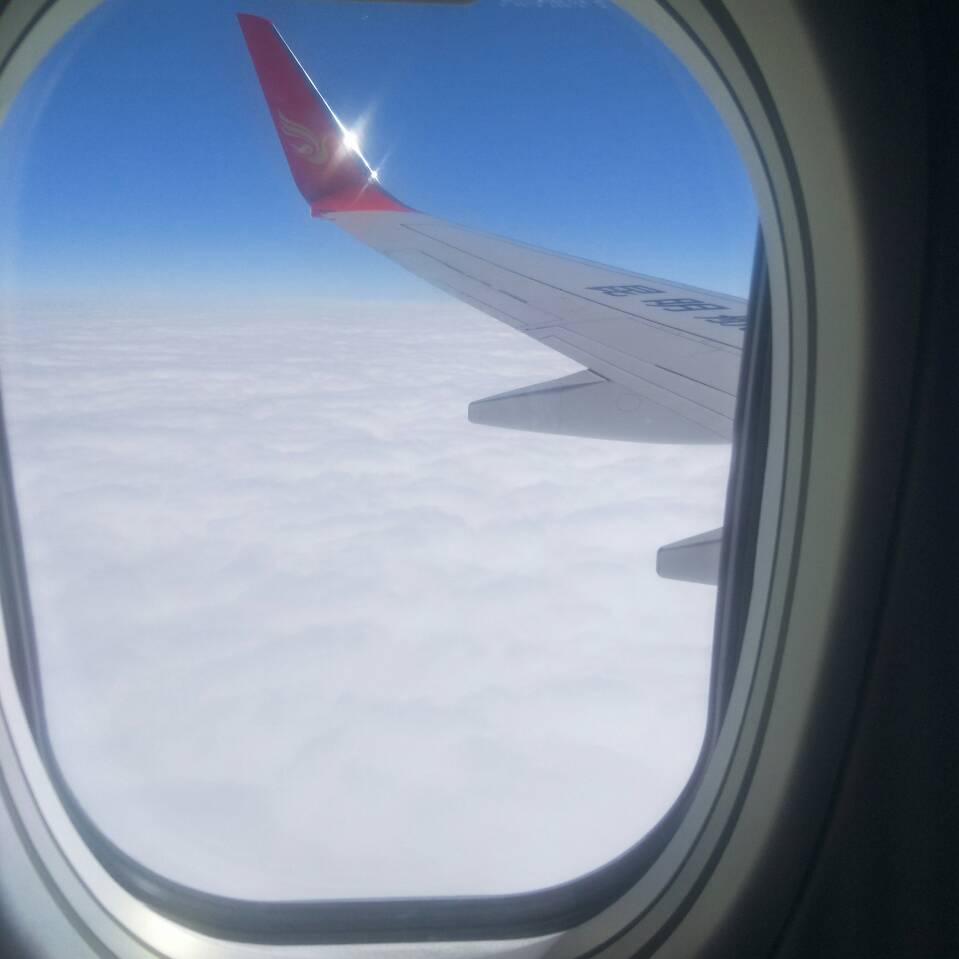 大王叫我来巡山