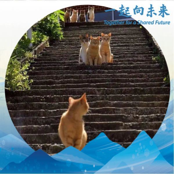 郭宝顺
