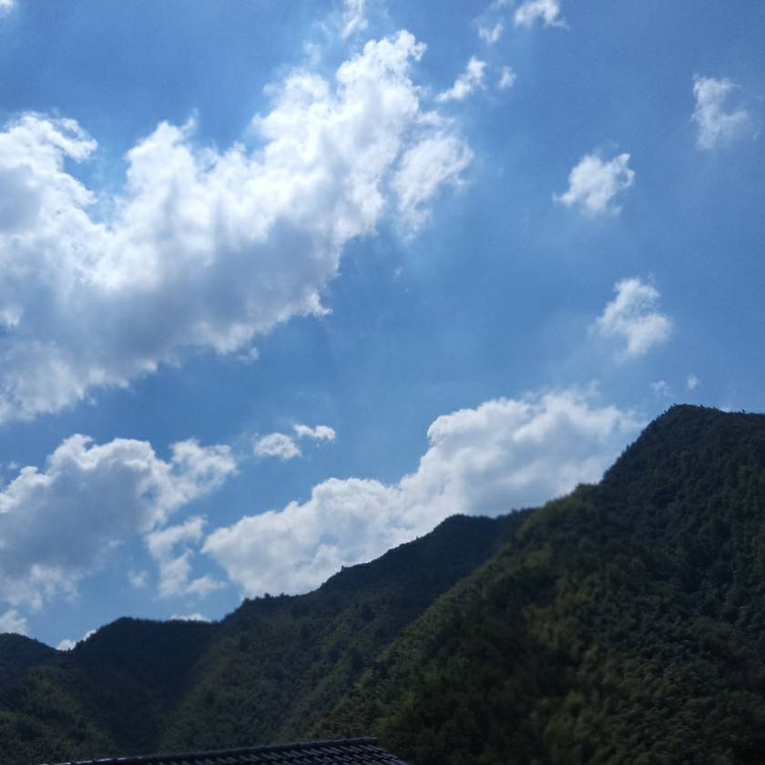 用戶頭像