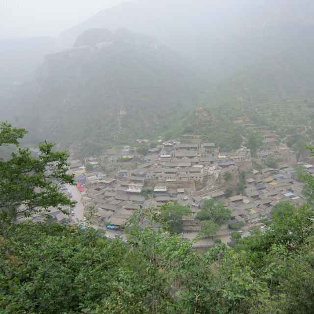 wangtao