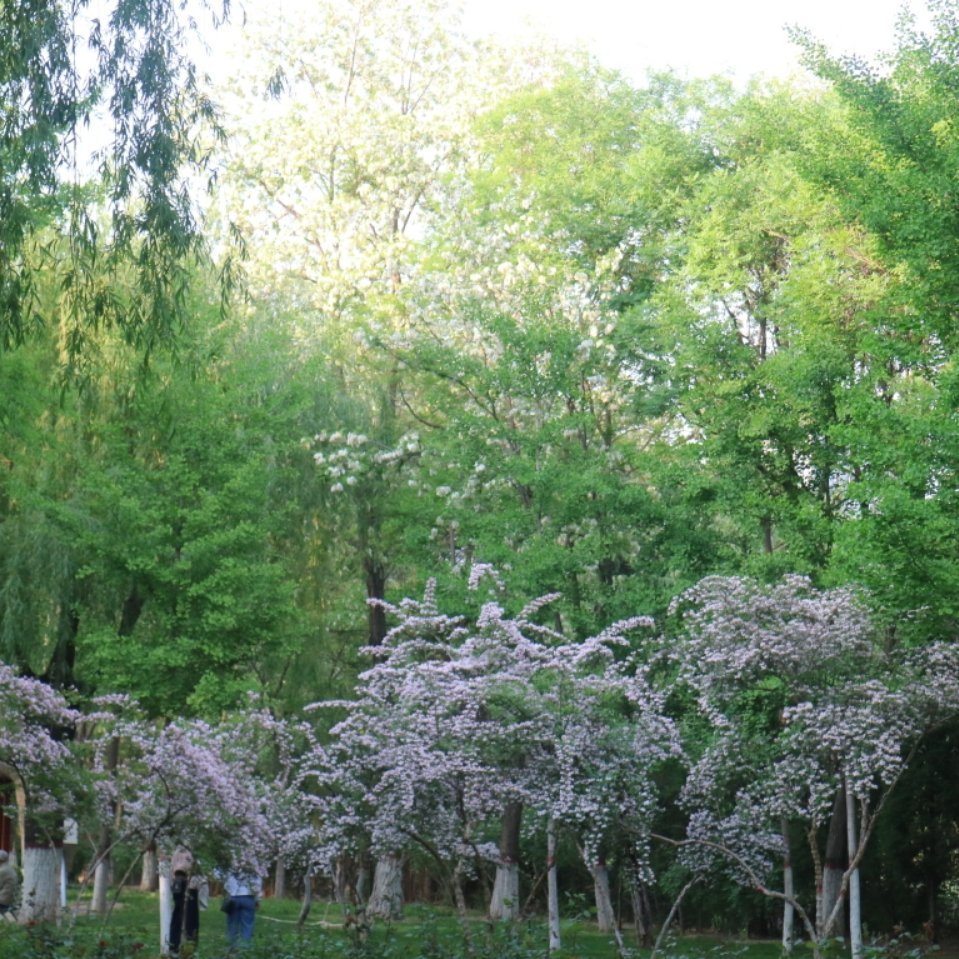 辛弃疾词赏析