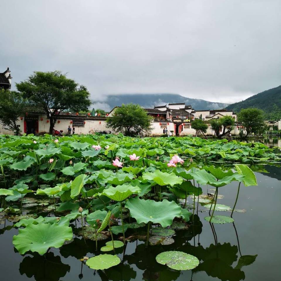 高飞