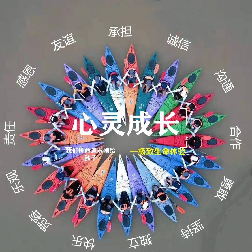 李sir