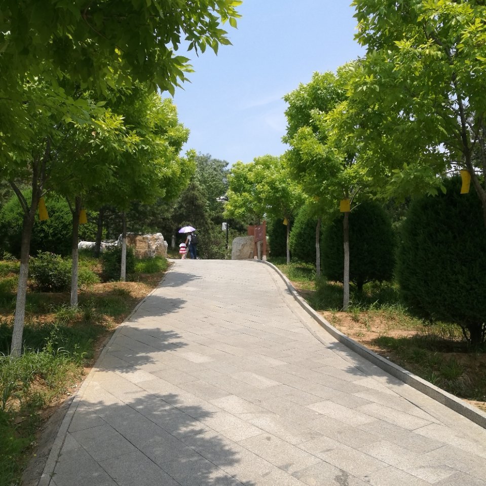 用戶頭像