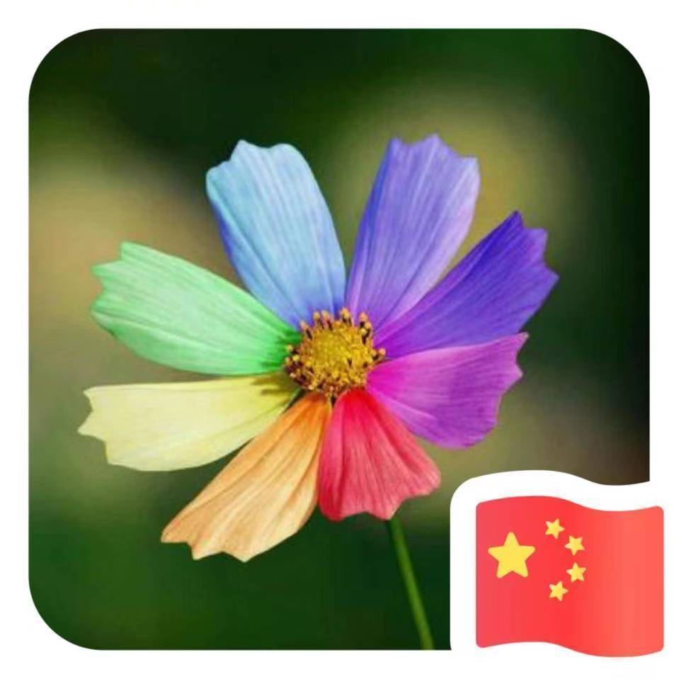用戶頭像