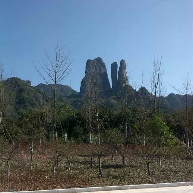 用戶頭像