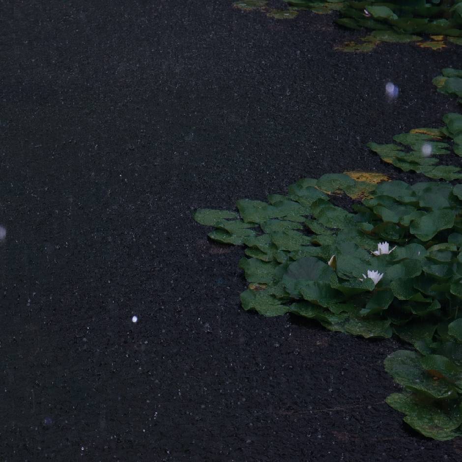 小赵小赵醒一醒