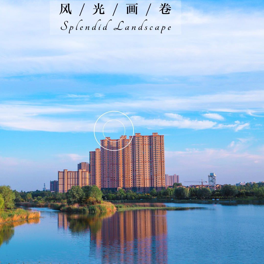 一朝一世纪