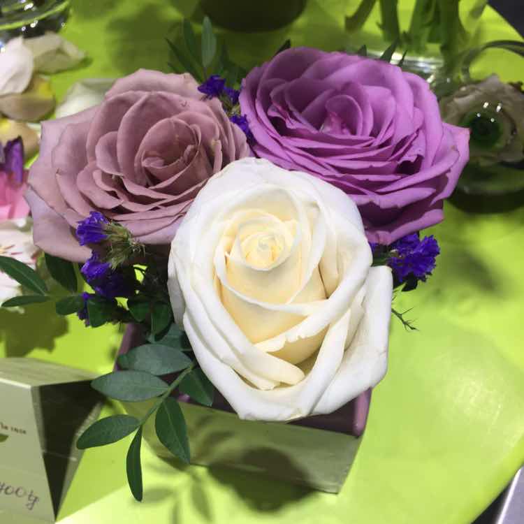 郑花果律师