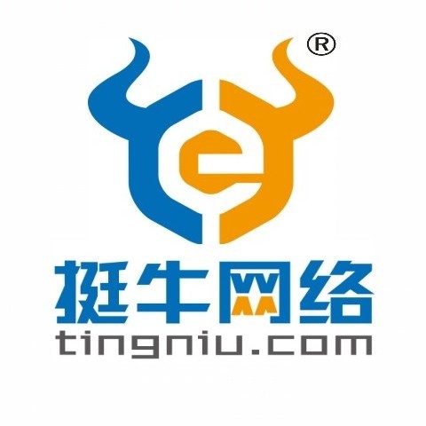 山西挺牛网络科技有限公司