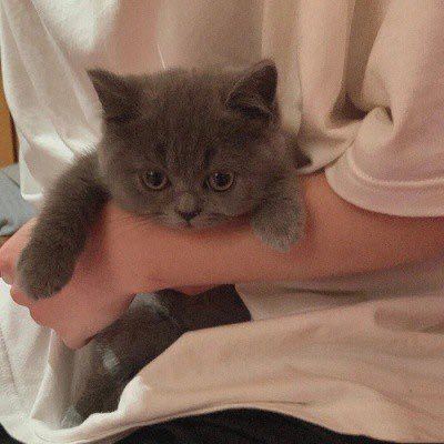 走吧