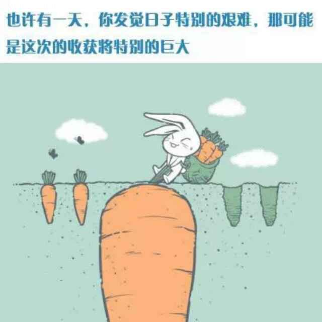杨高光