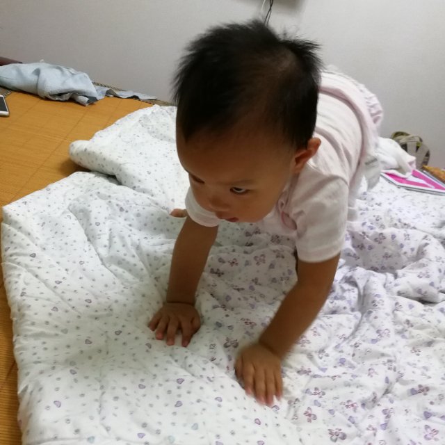 南柯一梦