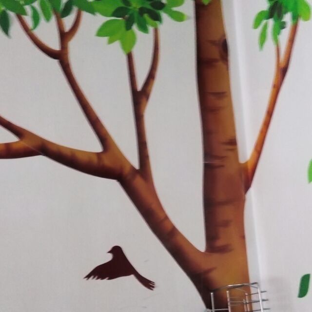 用戶頭像