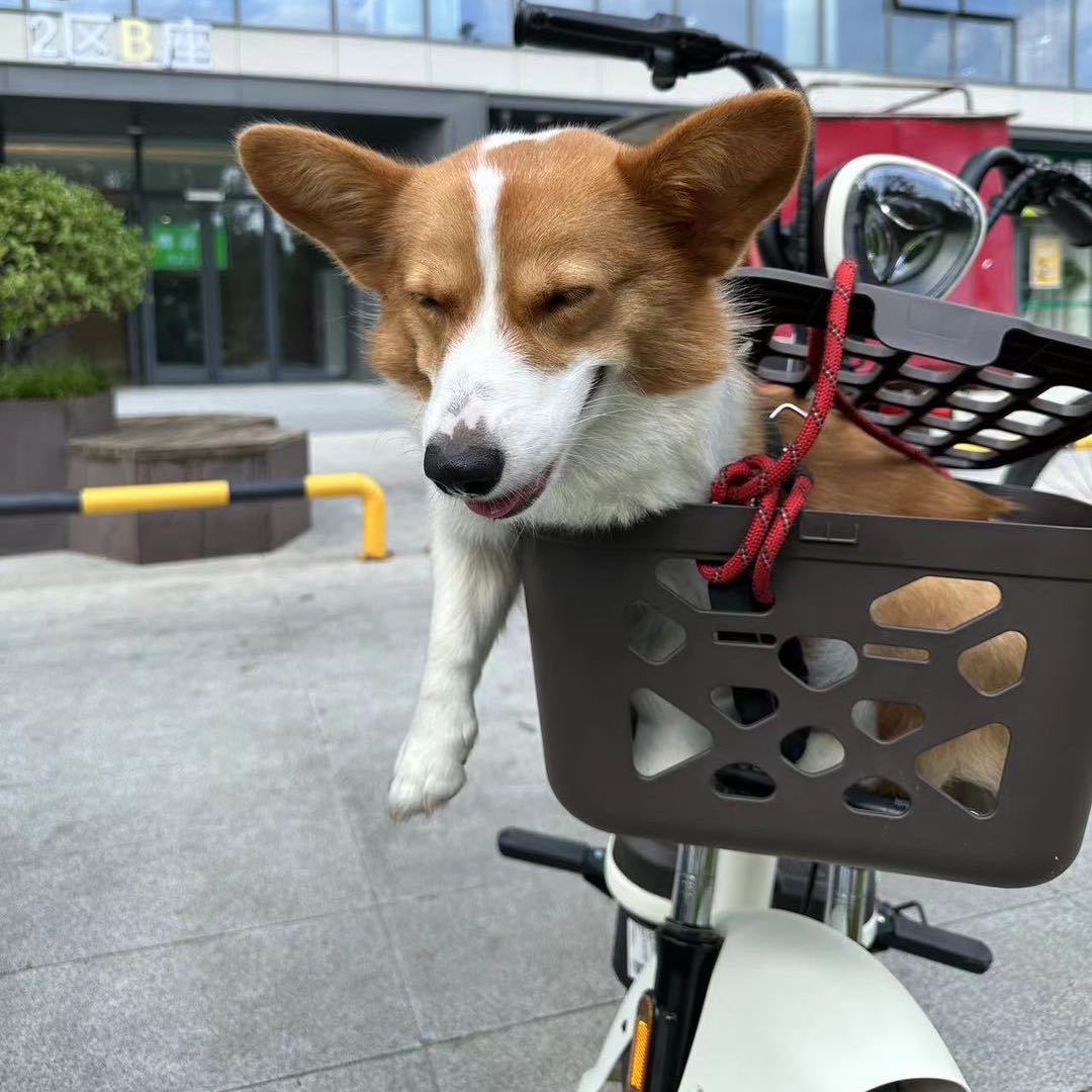 好看又何必
