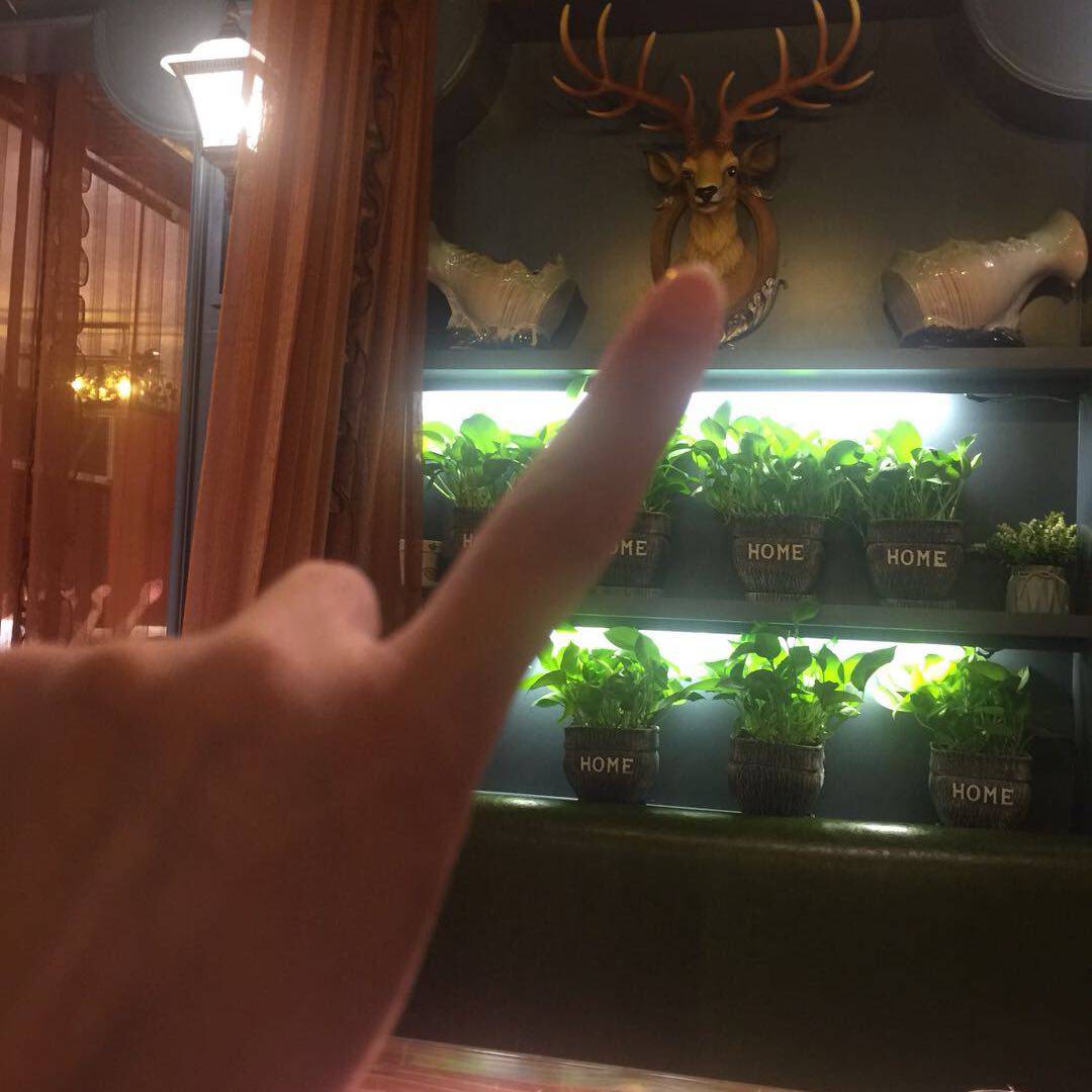 用戶頭像