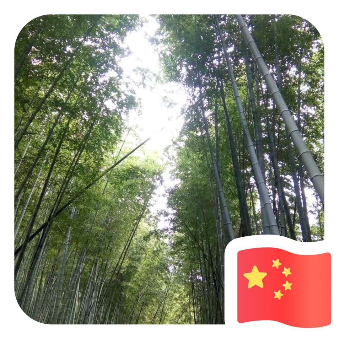 用戶頭像