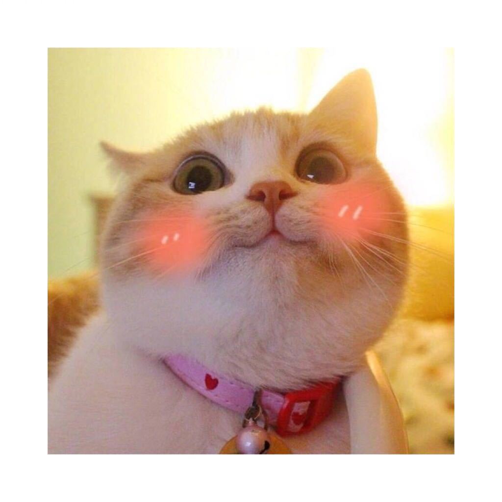 橙西