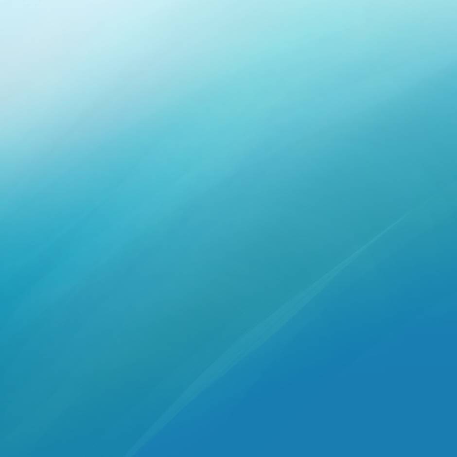 我的小伙伴