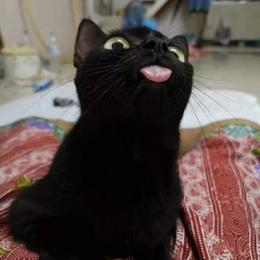 Bugzy