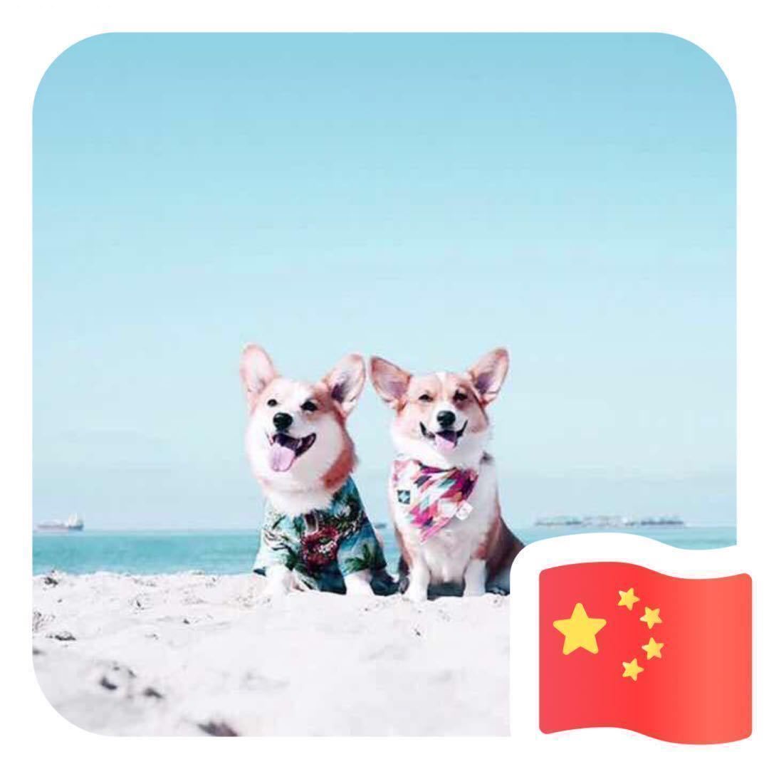 汪小涵