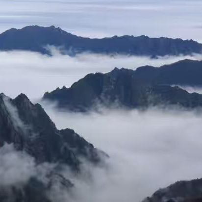 立心