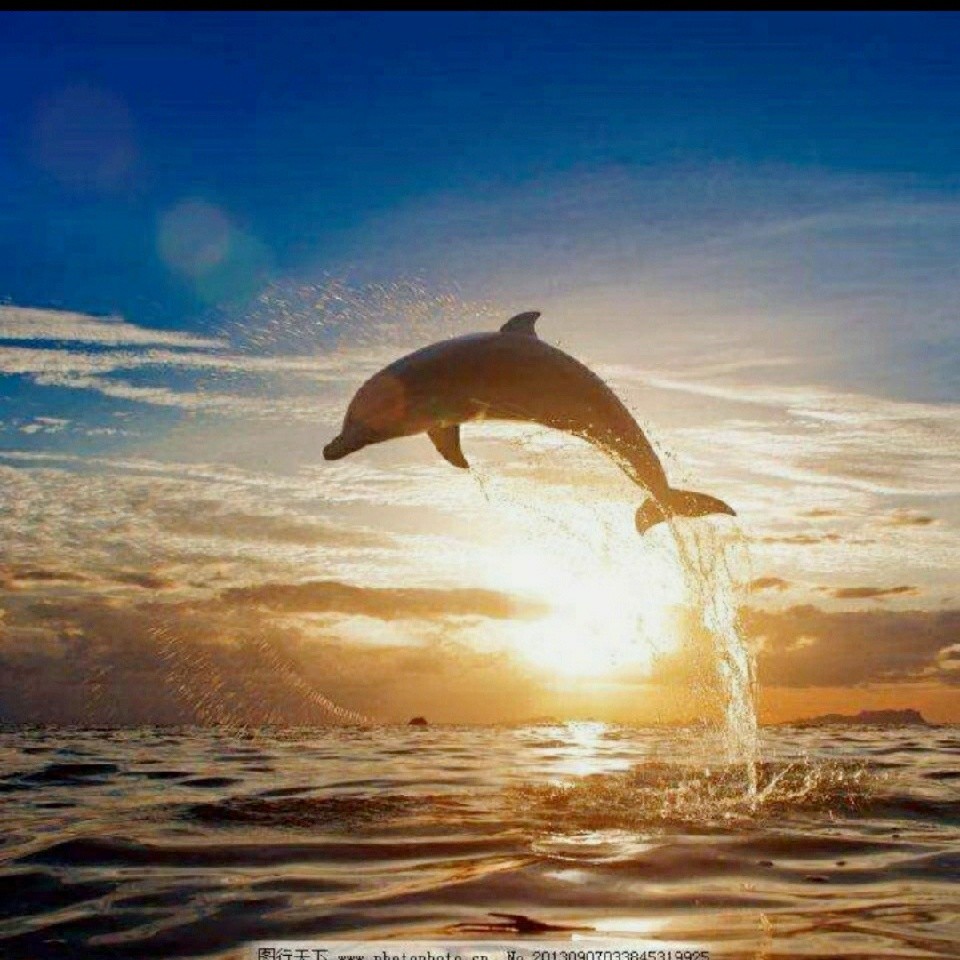 韩湘子