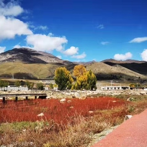 河马社区