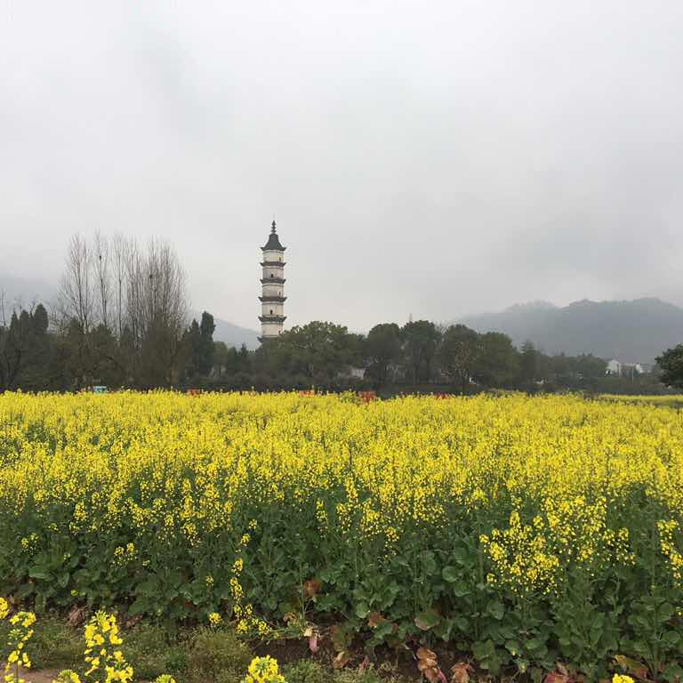 何顺章