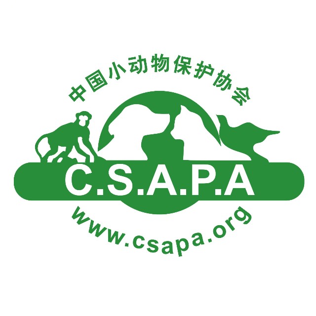 CSAPA1992