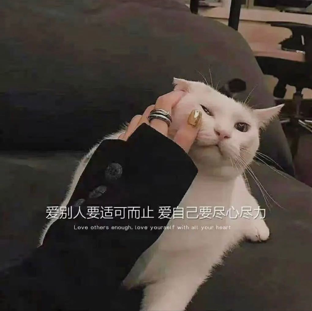 渡.劫