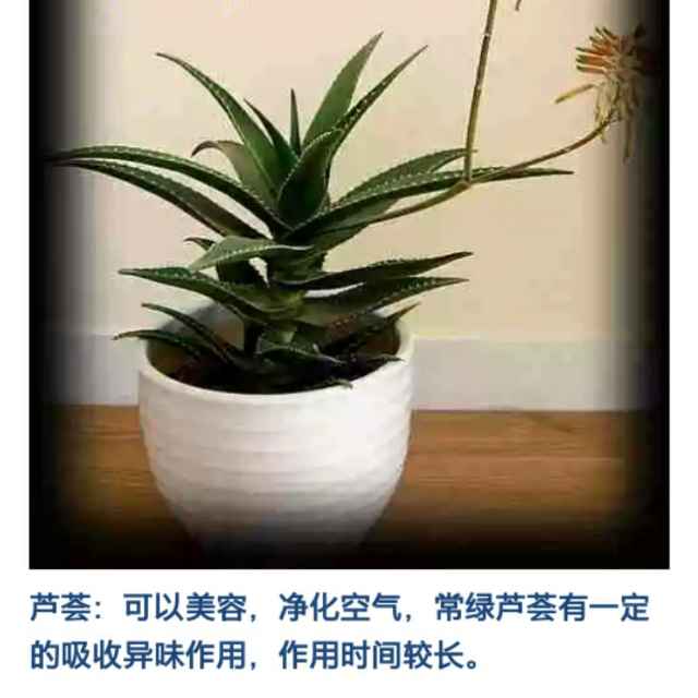 用戶頭像