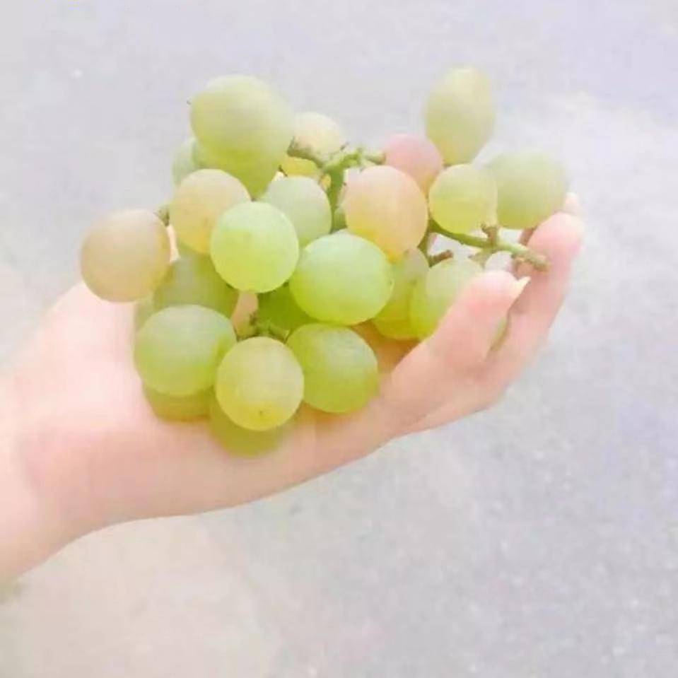 用戶頭像