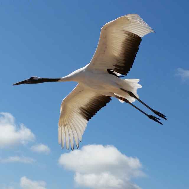 林乐峰～中东集团