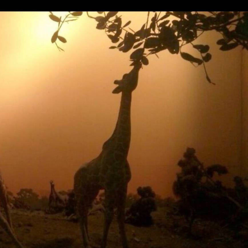 爱出差爱带比赛的喂喂喂