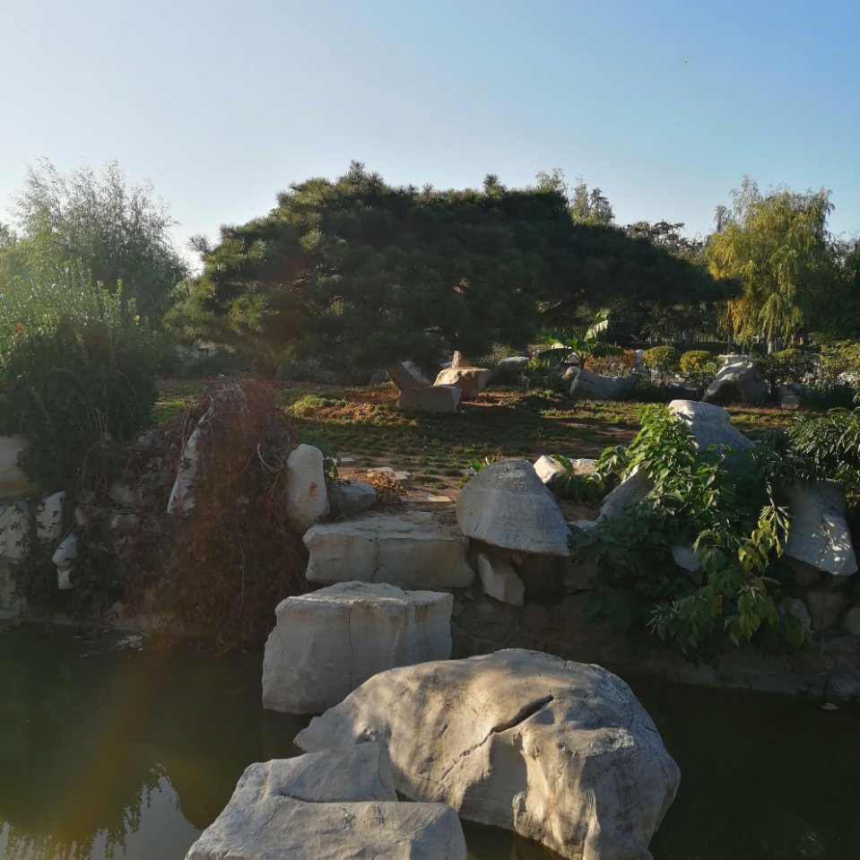 任建春