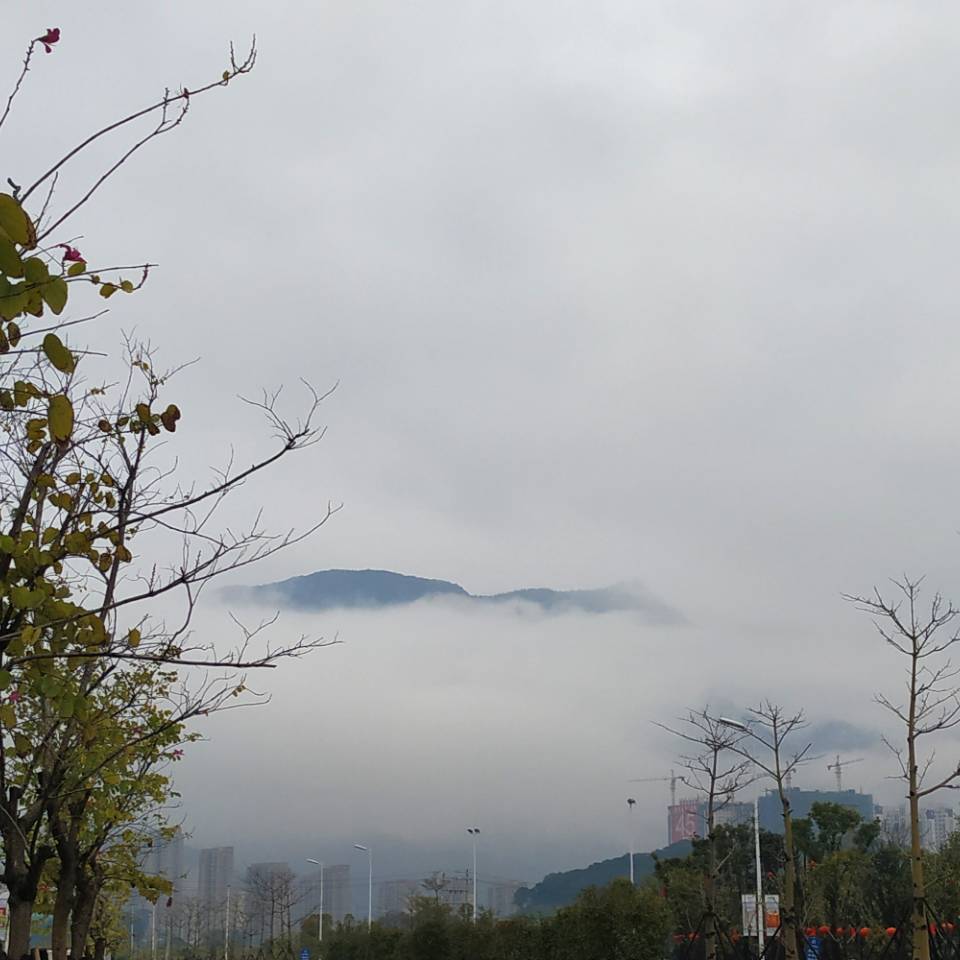 林群山