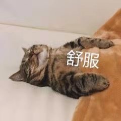 🍉辛政谕