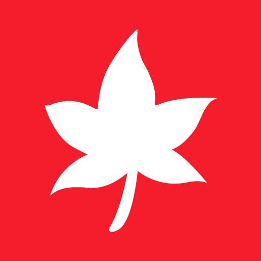 洛阳洛枫网络技术有限公司