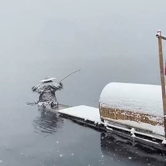浩存
