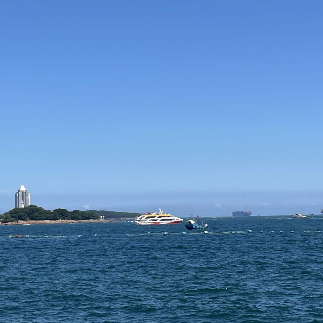 XutaoIOcean （迈克）