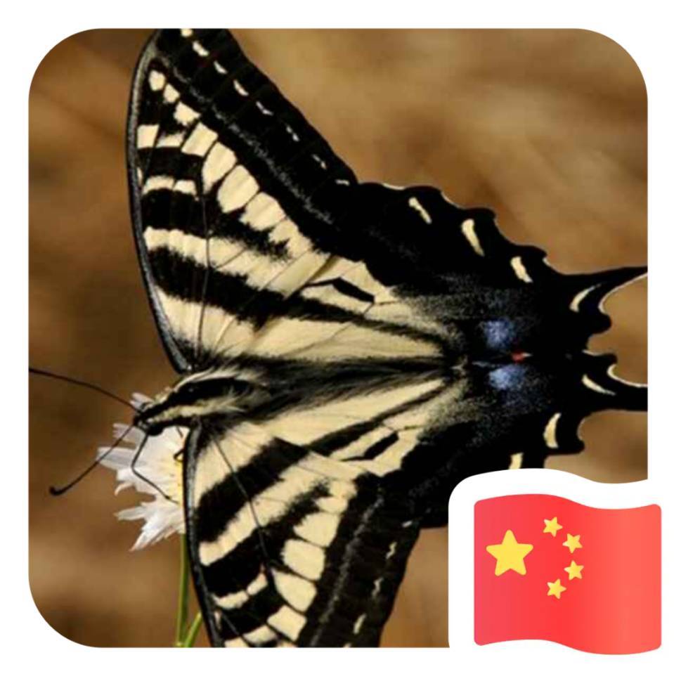 用戶頭像