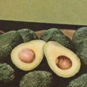 🥑