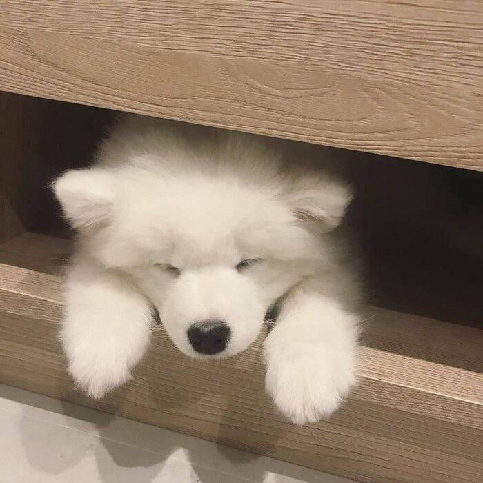 白月牙