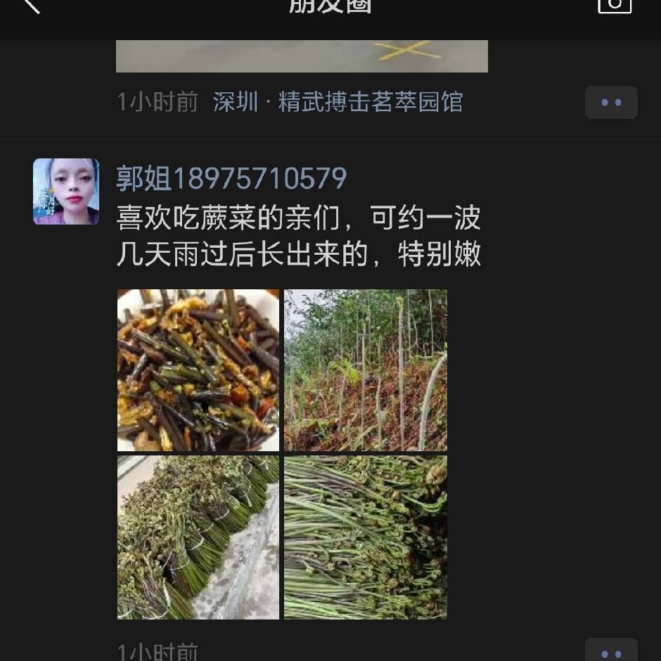 飞翔
