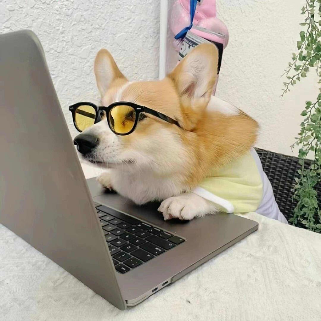 热心市民梁先生