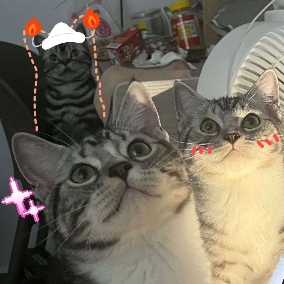 可爱又迷人的反派角色